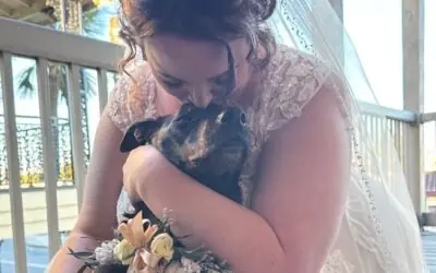 Dog’s Incredible Recovery Leads To One Happy Wedding Day!