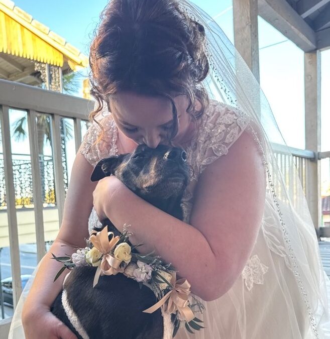 Dog’s Incredible Recovery Leads To One Happy Wedding Day!