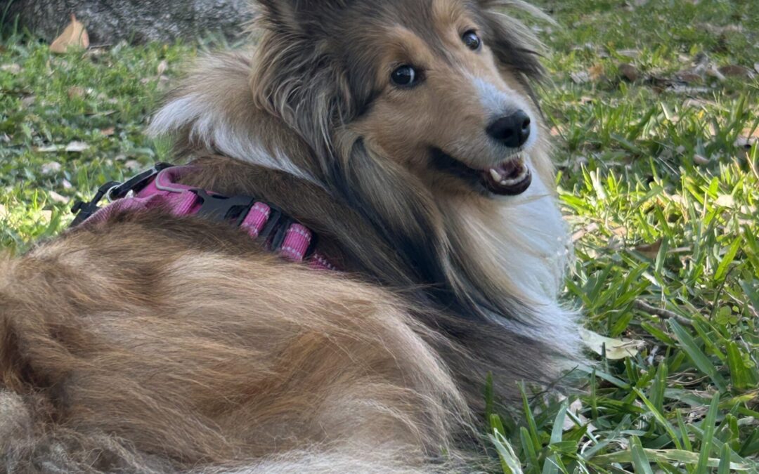 Expert Collaboration Leads to Lifesaving Care